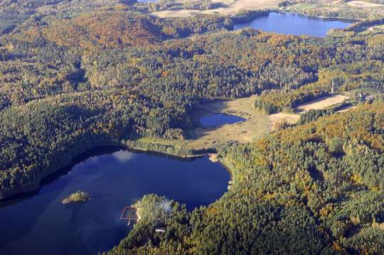 GRZYBIA DĄBROWA