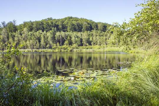 Grodzisko Borzytuchom (2 km)