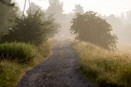 Dąbrowa Rzepnicka (2,1/1,5 km)